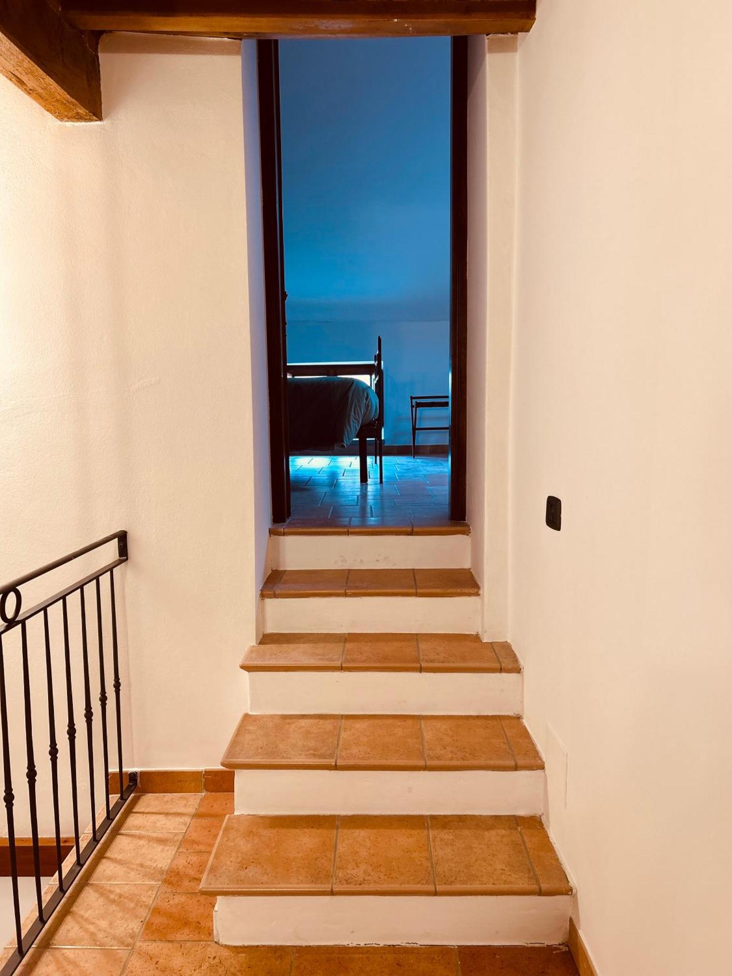 Locale Guest House بييترالونجا المظهر الخارجي الصورة